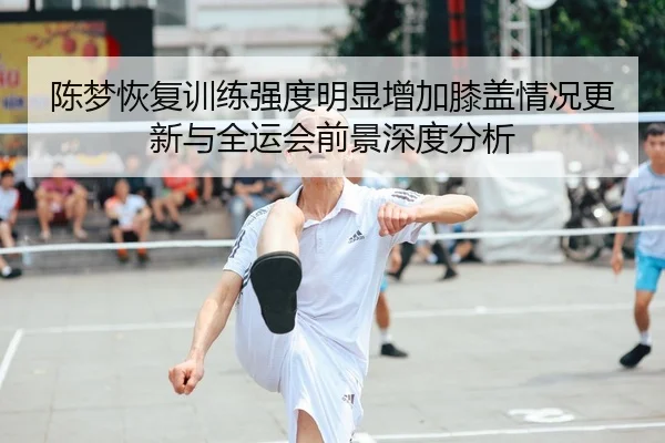 陈梦恢复训练强度明显增加膝盖情况更新与全运会前景深度分析（PINBO.COM）