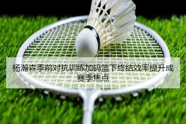 杨瀚森季前对抗训练加码篮下终结效率提升成赛季焦点（PINBO.COM）